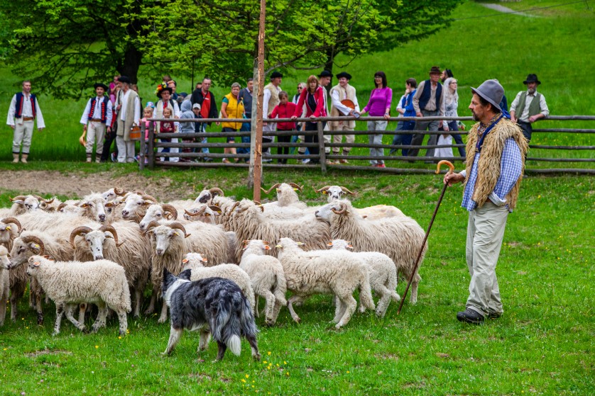 'Carpathian Pastoralism: A Living Tradition, Cultural Heritage and Historical Memory' roundtable