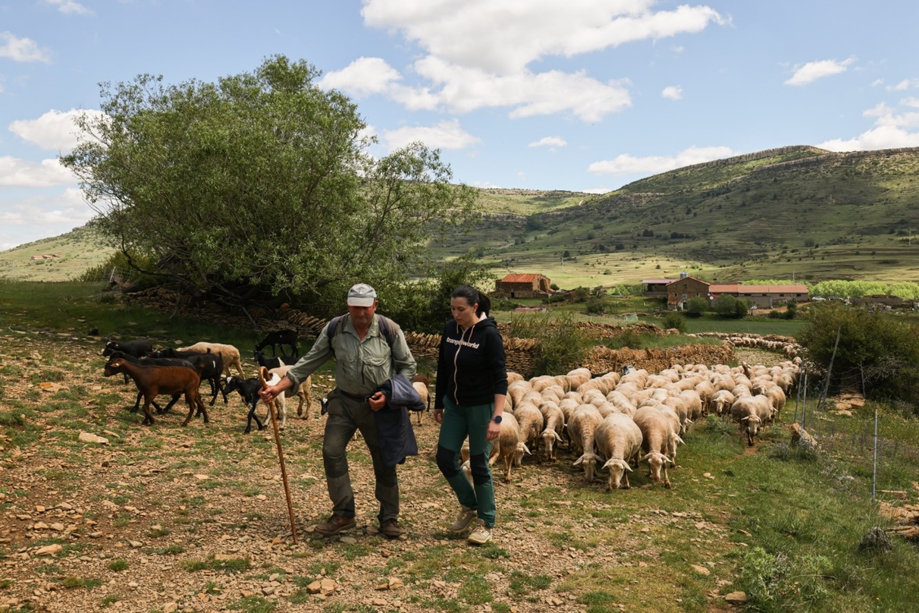 Presentation of the audiovisual: The Masovera Culture in the Maestrazgo