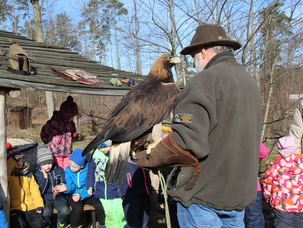 Rotarischer Herbstbrunch mit dem Deutschen Falkenorden (Rotarian Autumn Brunch with the German Falcon Order) 