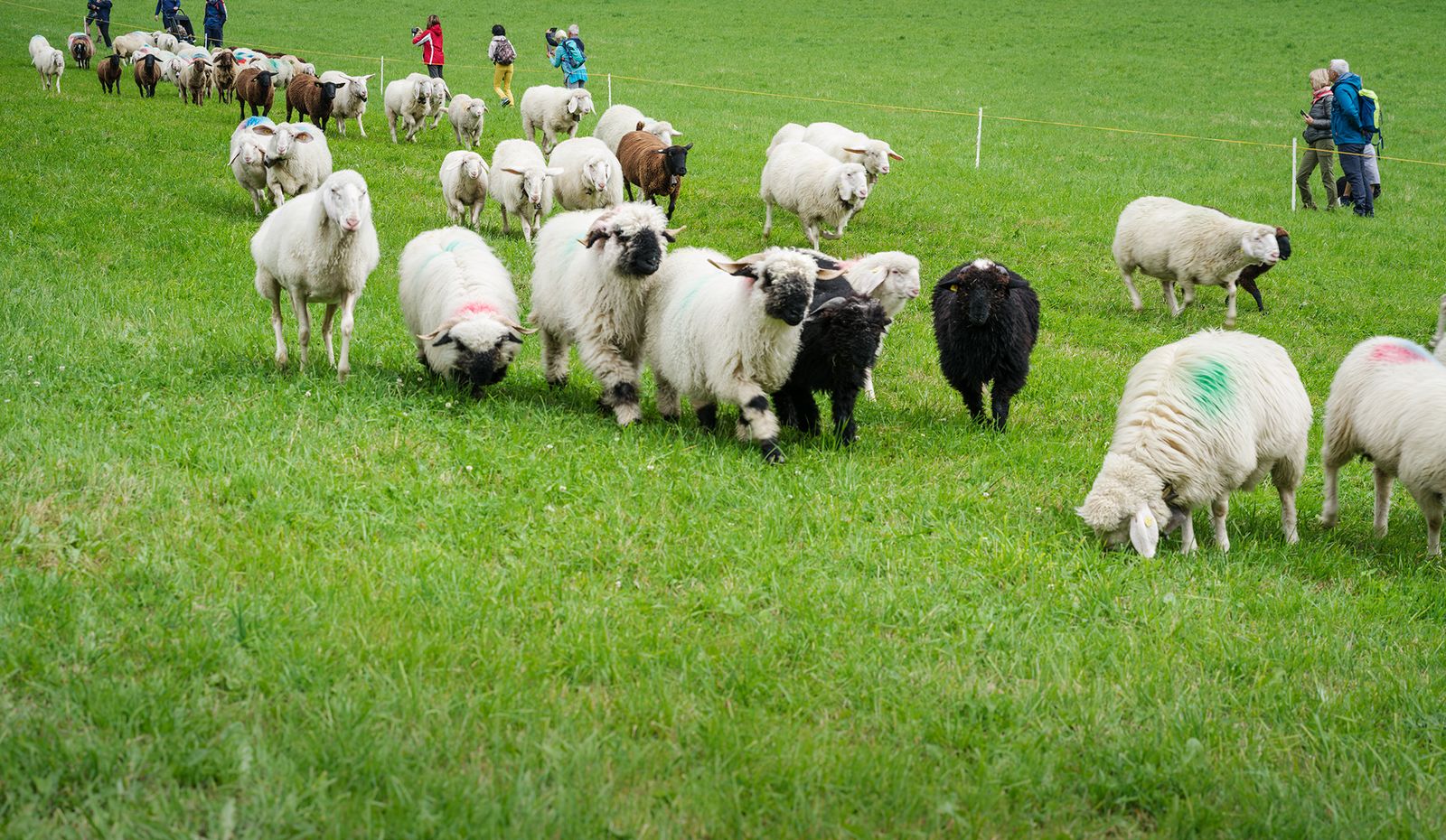 Tag des immateriellen Kulturerbes in Südtirol – Giornata del patrimonio culturale immateriale in Alto Adige