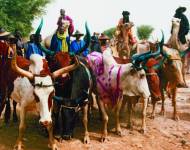 Organizadas por los pueblos peul, las fiestas del yaaral y el degal marcan la travesía del río Níger, dos veces al año, de manadas de ganado. Esta trashumancia da lugar a diversas celebraciones y manifestaciones muy apreciadas, como competiciones para determinar la manada mejor aderezada, declamaciones de poemas pastoriles y canciones.