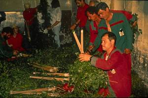 La Patum de Berga