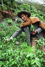 Andean cosmovision of the Kallawaya