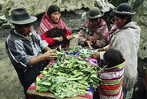 Séminaire en ligne sur le patrimoine culturel immatériel et l'éducation au développement durable
