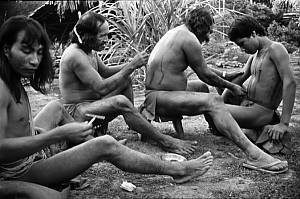 Oral and graphic expressions of the Wajapi