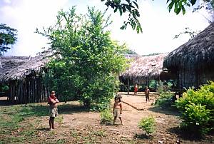 Oral heritage and cultural manifestations of the Zápara people