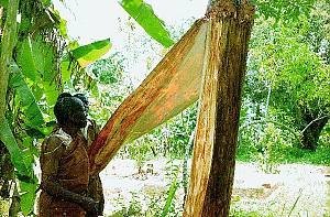 La fabrication des tissus d’écorce en Ouganda