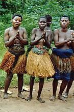 Polyphonic singing of the Aka Pygmies of Central Africa