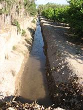 Irrigators’ tribunals of the Spanish Mediterranean coast: the Council of Wise Men of the plain of Murcia and the Water Tribunal of the plain of Valencia