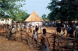 Septennial re-roofing ceremony of the Kamablon, sacred house of Kangaba