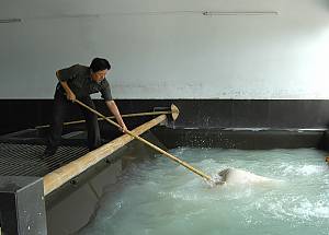 Traditional handicrafts of making Xuan paper