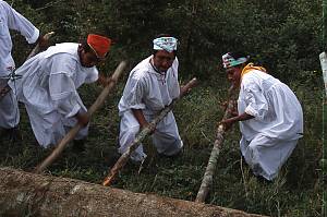 Ritual ceremony of the Voladores