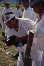 Ritual ceremony of the Voladores