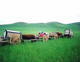 L’art mongol du chant Khoomei