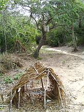 Traditions and practices associated with the Kayas in the sacred forests of the Mijikenda