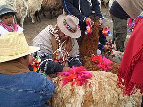 Safeguarding intangible cultural heritage of Aymara communities in Bolivia, Chile and Peru