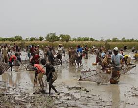 Sanké mon, collective fishing rite of the Sanké