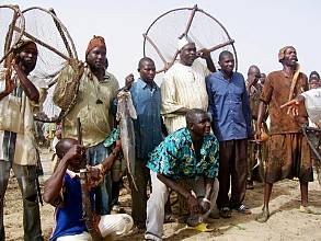 Le Sanké mon, rite de pêche collective dans le Sanké
