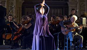 Flamenco