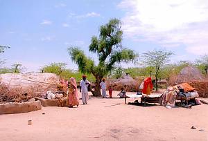 Kalbelia folk songs and dances of Rajasthan