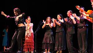 Flamenco