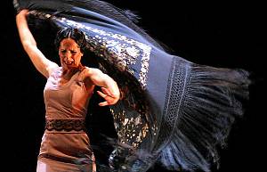 Flamenco