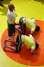 Pahlevani and Zoorkhanei rituals