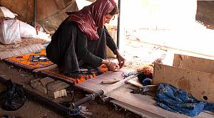 Traditional skills of carpet weaving in Fars