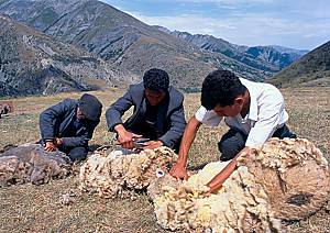 Traditional art of Azerbaijani carpet weaving in the Republic of Azerbaijan