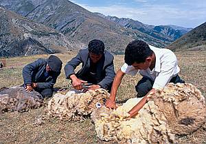 L’art traditionnel du tissage du tapis azerbaïdjanais en République d’Azerbaïdjan 