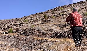 Whistled language of the island of La Gomera (Canary Islands), the Silbo Gomero
