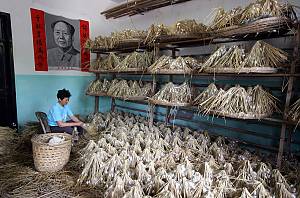 La sériciculture et l’artisanat de la soie en Chine