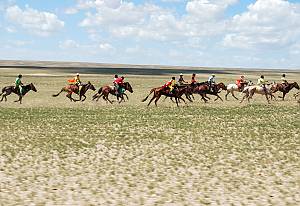Naadam, Mongolian traditional festival