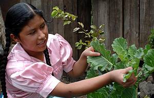 Traditional Mexican cuisine - ancestral, ongoing community culture, the Michoacán paradigm