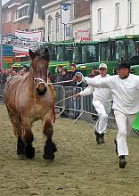 Houtem Jaarmarkt, annual winter fair and livestock market at Sint-Lievens-Houtem