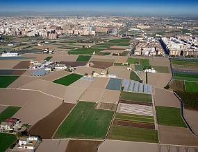 Irrigators’ tribunals of the Spanish Mediterranean coast: the Council of Wise Men of the plain of Murcia and the Water Tribunal of the plain of Valencia