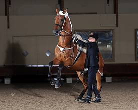 Equitation in the French tradition