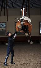 Equitation in the French tradition