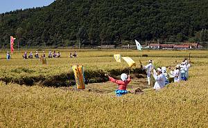 Farmers’ dance of China’s Korean ethnic group
