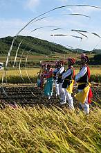 Farmers’ dance of China’s Korean ethnic group