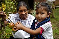 Traditional Mexican cuisine - ancestral, ongoing community culture, the Michoacán paradigm Read more on the element