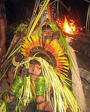 Yaokwa, the Enawene Nawe people's ritual for the maintenance of social and cosmic order