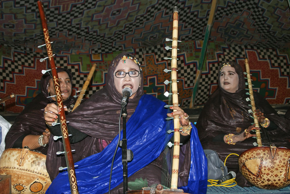 Aspect de l'épopée maure T'heydinne