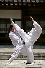 Le Taekkyeon, un art martial traditionnel coréen