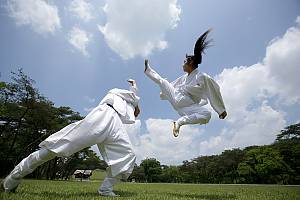Taekkyeon, a traditional Korean martial art