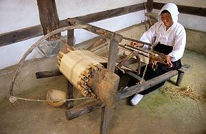 Weaving of Mosi (fine ramie) in the Hansan region