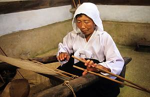 Weaving of Mosi (fine ramie) in the Hansan region