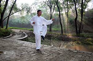 Taijiquan