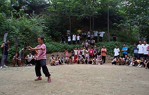 Taijiquan