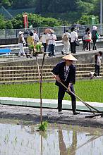 Mibu no Hana Taue, ritual of transplanting rice in Mibu, Hiroshima